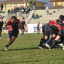 DSC_2010