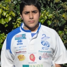 Teseo Vona