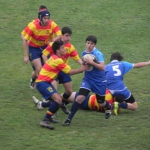 DSCN5453