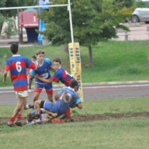 DSC_4010