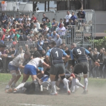 DSC_1453